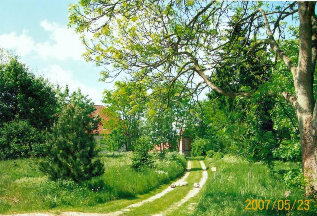 דירות Alt Jargenow Gutshaus Alt-Jargenow מראה חיצוני תמונה